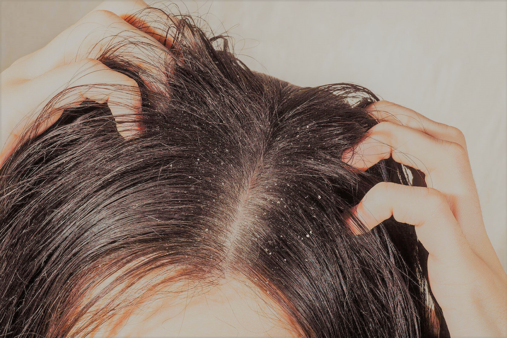 forfora capelli